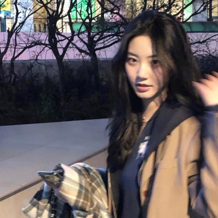 关于哈利的那些事